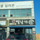 신열날개