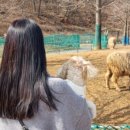 갯골근린공원 공원화장실 이미지