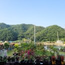 자연등잔길 이미지