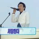 광덕자두