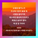 오사모 전자 | [생각°담다] 범상한 일상을 지키기 위한 작은 노력 - 유원성 &lt;폐사의 최고봉에 올라 서해를 바라본다...