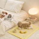 펫하임 강아지 고양이 이미지