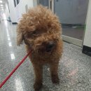 강릉초등학교 이미지