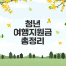 2025 청년 여행지원금 혜택과 신청법은?