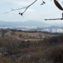 황세득 묘 티스토리