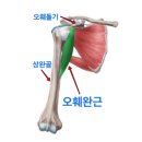 오름 PT 네이버블로그
