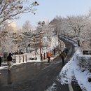 애기봉 평화생태공원 이미지