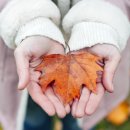 예스리더스의원 이미지