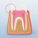 아트플란트치과의원 이미지