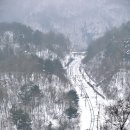 심포리 이미지