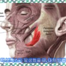 근이케이스 이미지