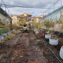 걸치기농장 이미지