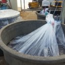 김길용농장 이미지