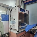 스머프동물병원 이미지