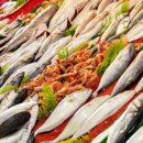 탄도어항수산물직판장