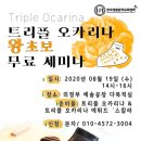 오카리나 (초급) 이미지