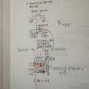 2권 11장 dna 구조와 복제 p.154 헬리케이스의 진행방향 확인실험 이미지