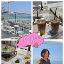 [속초여행] 1day 속초 현지인 대구탕 맛집 선인식당 &amp; 오션뷰 카페 아루나