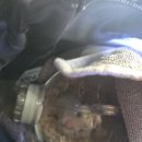 부산동물메디컬센터 | 부산 특수동물 진료 가능한 동물병원 [서동 동물메디컬센터] 햄스터 건강검진 후기