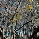 들말공원 이미지