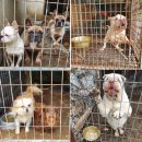 개st하우스 이미지