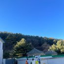 살롱드송송 | 또간 캠핑장 가평 '유명산밸리캠핑장' 캐빈 사이트 이용기 / 훈막숯불닭갈비 / 살롱드팔당 / 면포도궁