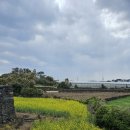 별방진하우스 이미지