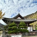 꽃과 한옥 | 🍂광주 선교동 한옥카페 꽃 피는 춘삼월 방문 후기