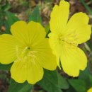 청안한의원 이미지