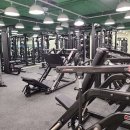 테디짐PT 이미지