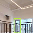 스파렉스 이미지