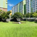 삼양지석묘 1호 이미지