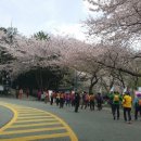 마창대교 밑 이미지