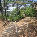 잣나무약수터 이미지