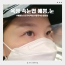 예쁨일랑 | 옥정 속눈썹 예쁨눈 브로우&amp;왁싱 속눈썹연장 후기
