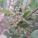 입암농장 이미지