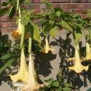 송운농장 이미지