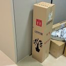 (주)산야초로 | 봄맞이 플랜테리어 | 이국적인 분위기의 "드라세나 마지나타" 핑크 | 인터넷 구매후기