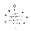시와 캘리 이미지