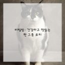 정성을담다 이미지