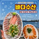 올레시장 횟집 바다수산 , 서귀포 올레시장 회포장 후기