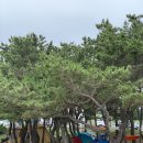 월포마을회 이미지