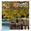 담양 가볼만한곳 대야제 산책코스 가을 풍경 최고 담양 여행지