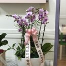 아뜰리에영어키즈어학원