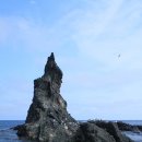 해조(海鳥) | [울릉도 여행] 독도