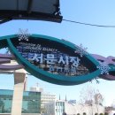 대구포목 티스토리
