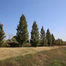 문암생태공원(반려견놀이터) 이미지