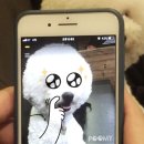 오디너리 이미지