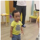 잉글리시에그전주 이미지