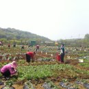 원미농장 이미지